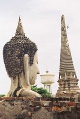 buddha in stein