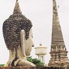 buddha in stein