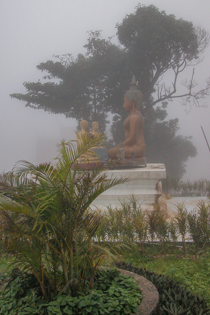 Buddha in the fog