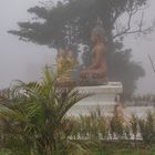 Buddha in the fog