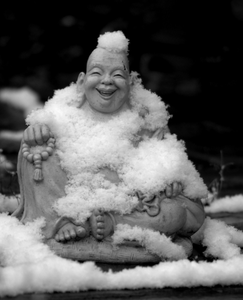 buddha in the snow