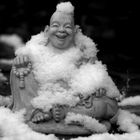 buddha in the snow