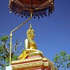 Buddha in the yard of That Phanom