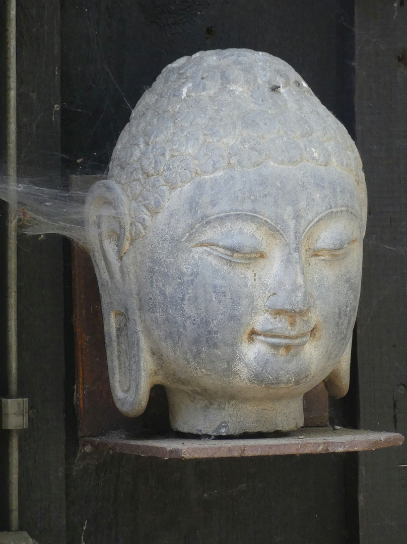 Buddha mit den Spinnweben