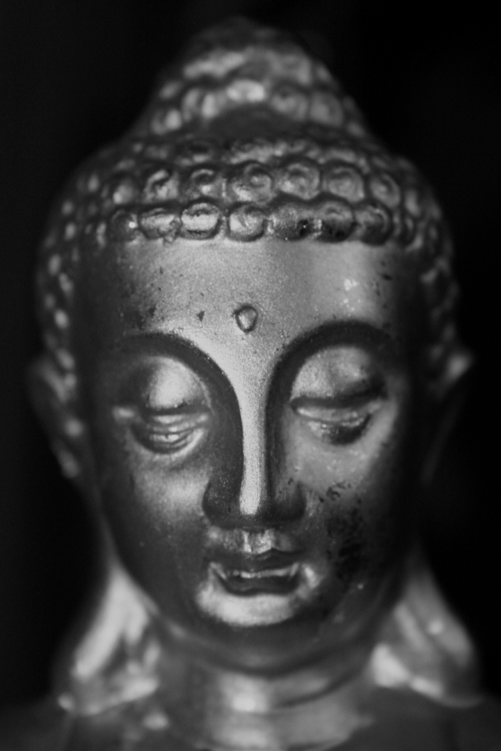 Buddha Monochrom