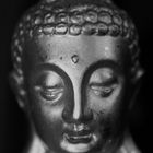 Buddha Monochrom