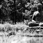 Buddha (Nepal-Himalaya-Pavillon - Wiesent)