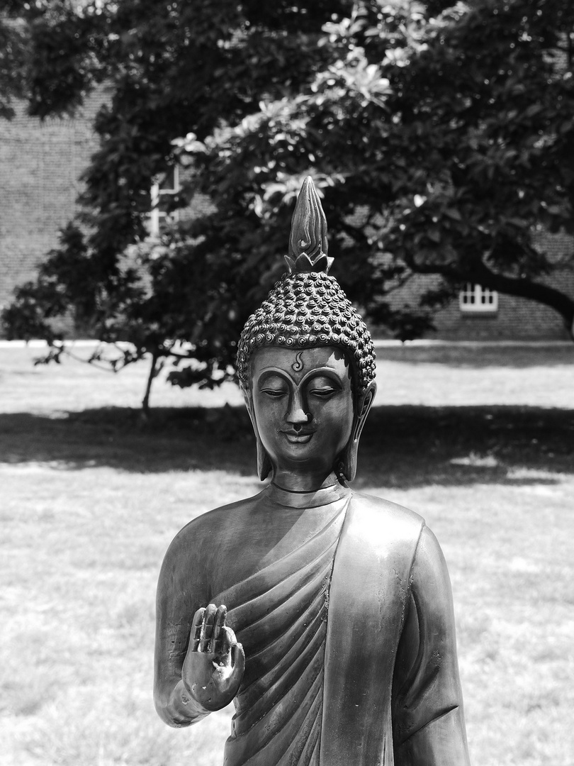 Buddha oder Licht und Schatten