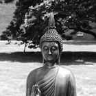 Buddha oder Licht und Schatten