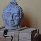 Buddha on Box