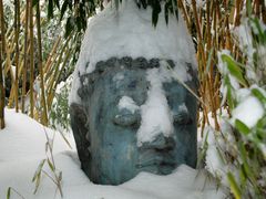 Buddha on Ice