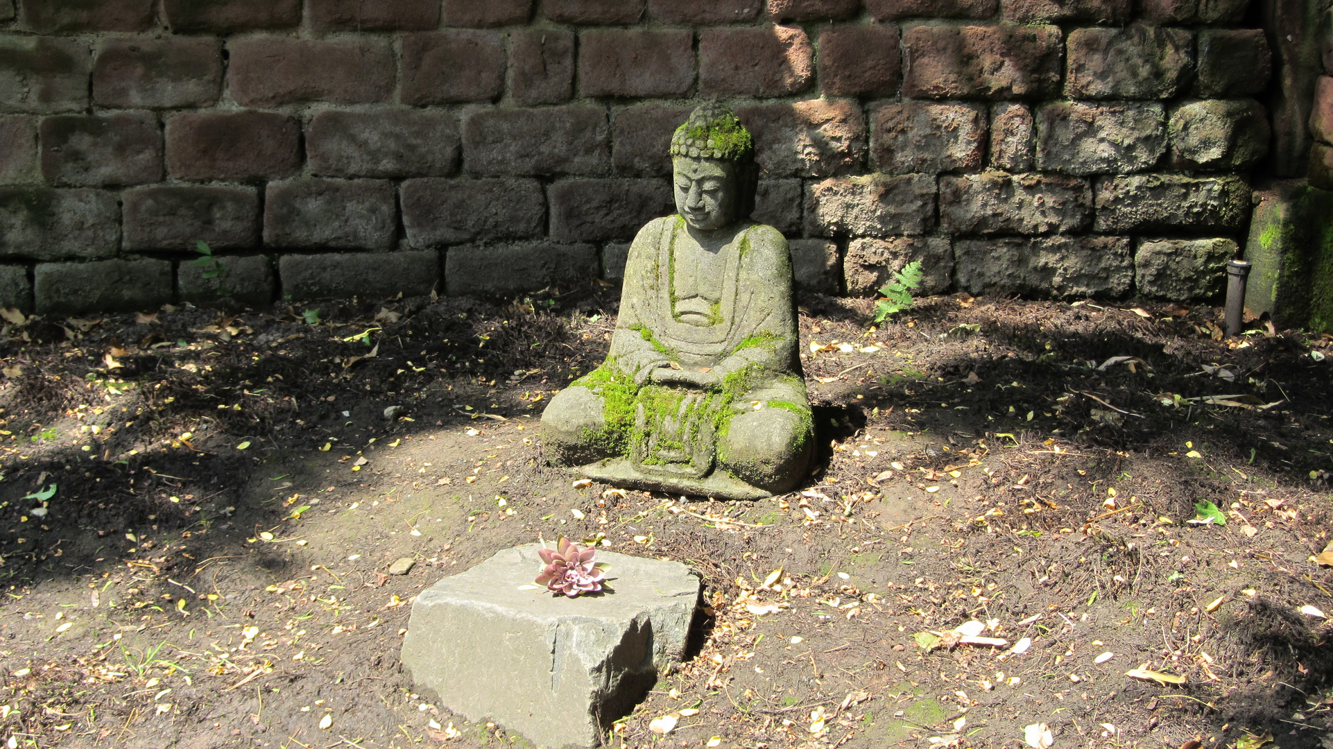 Buddha - Ruhe In Frieden