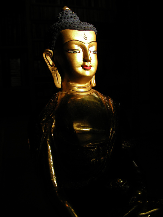 Buddha Shakyamuni