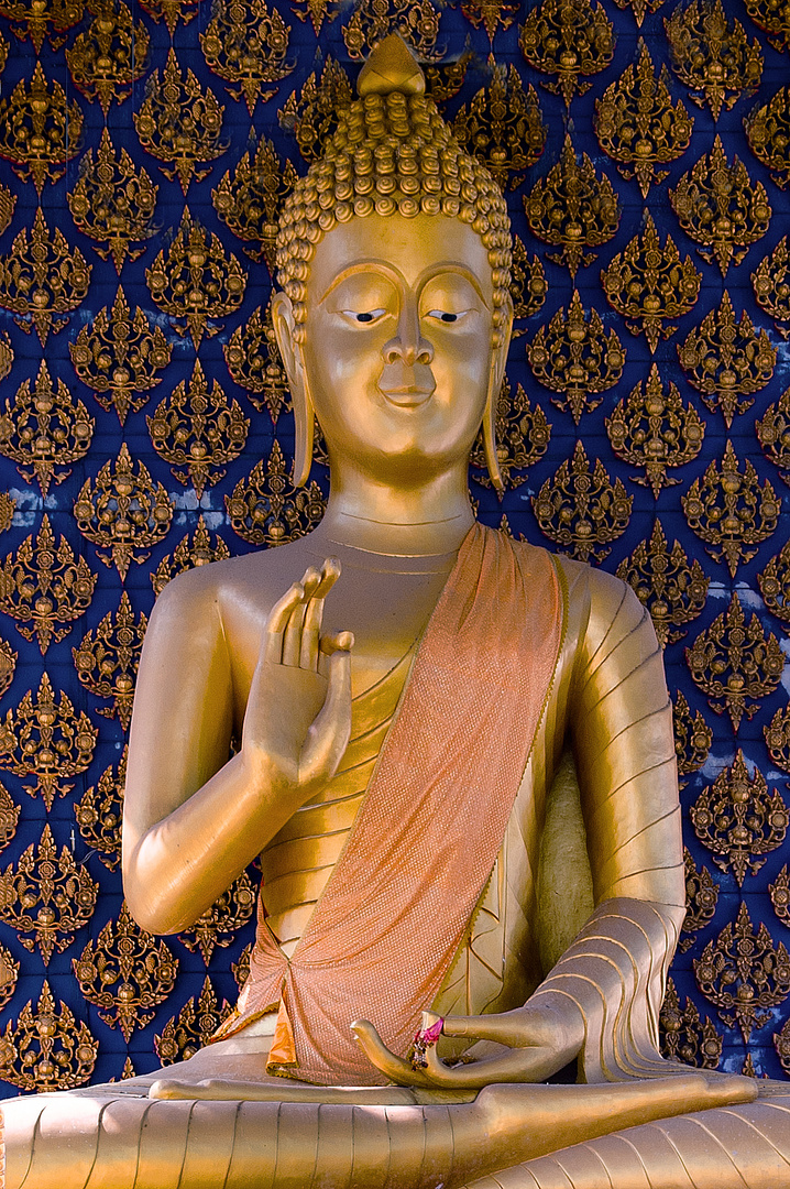 Buddha shows the vitarka mudra