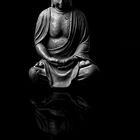 Buddha Spiegelung