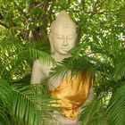 Buddha Statue