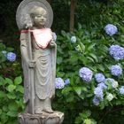 Buddha statue and hydrangea