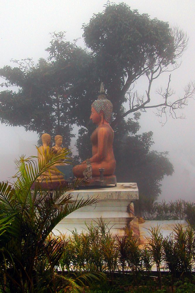 Buddha statue in the mist