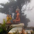 Buddha statue in the mist