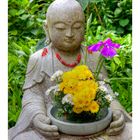 Buddha statue with flowers
