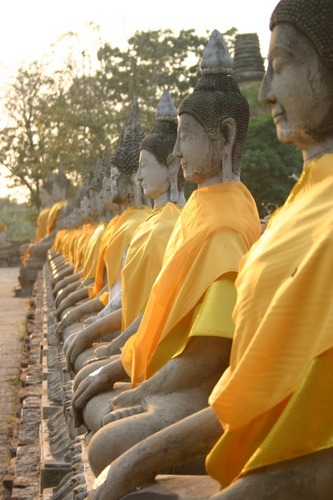 Buddha-Statuen im Abendlicht