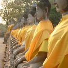 Buddha-Statuen im Abendlicht