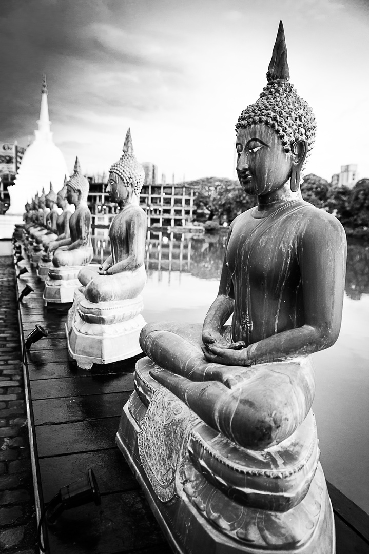 Buddha Statuen im Seema Malaka Tempel, Colombo (Sri Lanka)