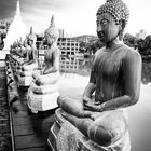 Buddha Statuen im Seema Malaka Tempel, Colombo (Sri Lanka)