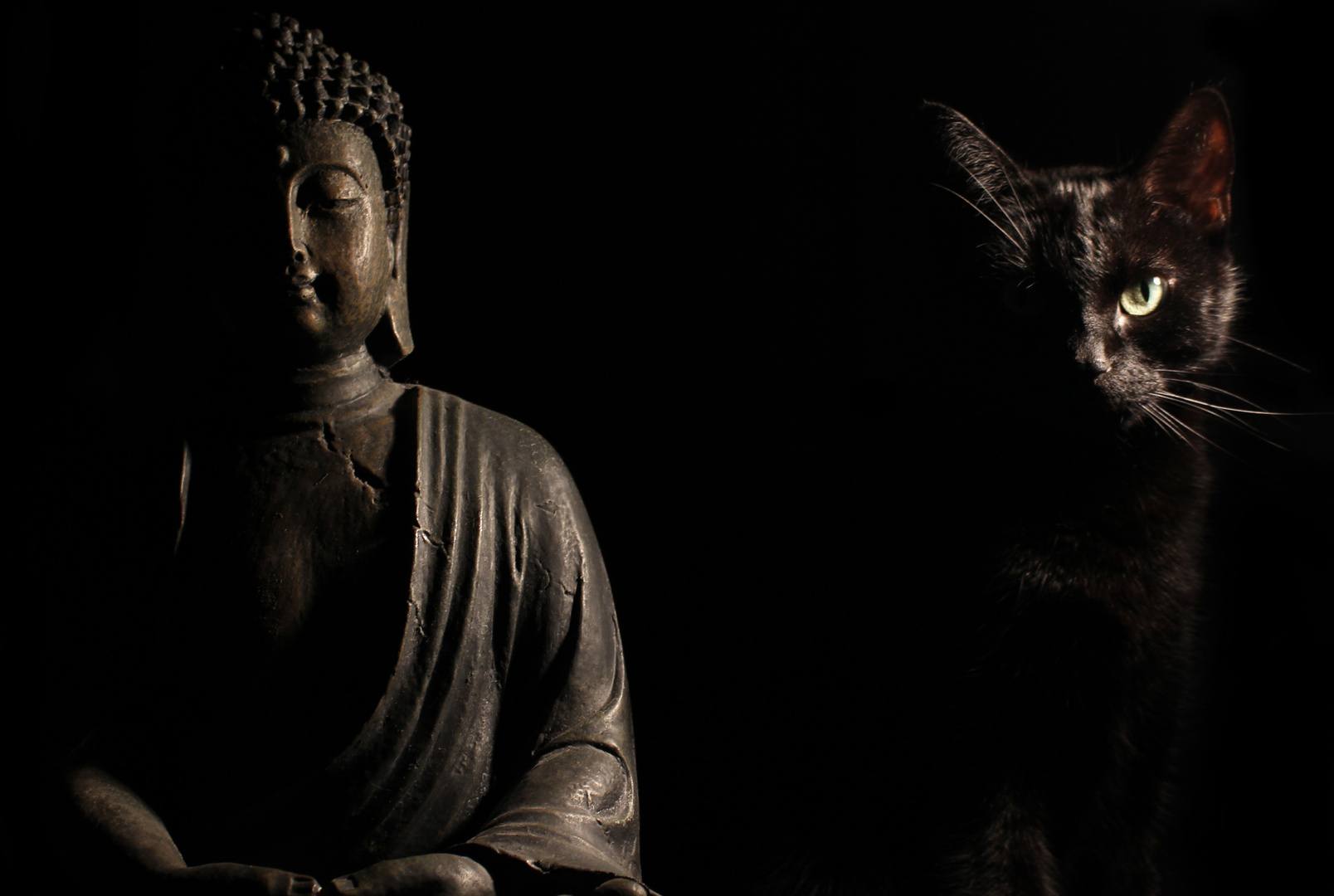 Buddha und Katze