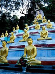 Buddha und seine Jünger