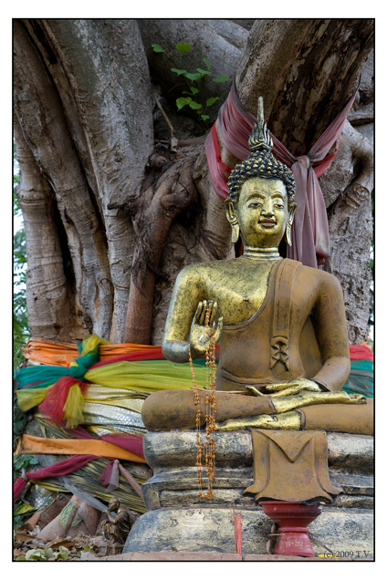 Buddha under the Bodhi-tree