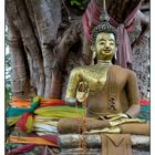 Buddha under the Bodhi-tree