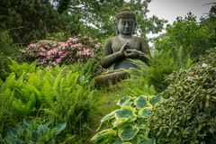 Buddha - Vogelpark Walsrode