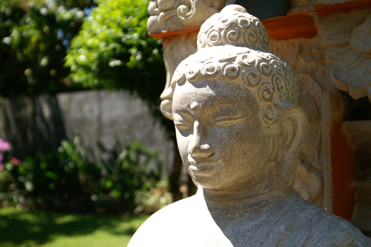 Buddha weiß bescheid