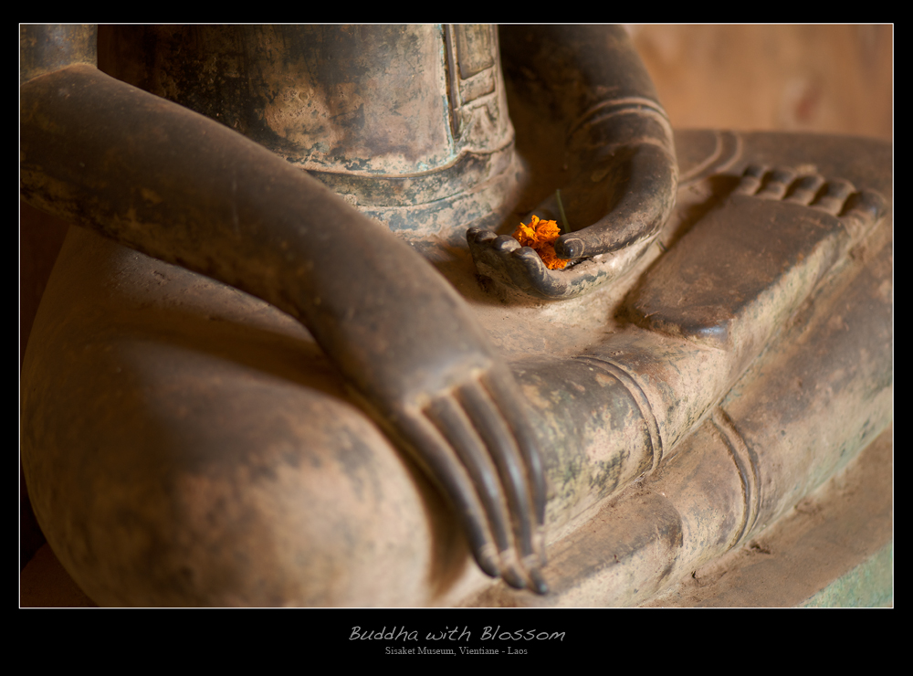 Buddha with Blossom