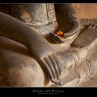 Buddha with Blossom