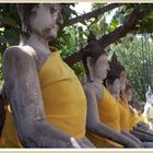 Buddhafiguren in Ayutthaya