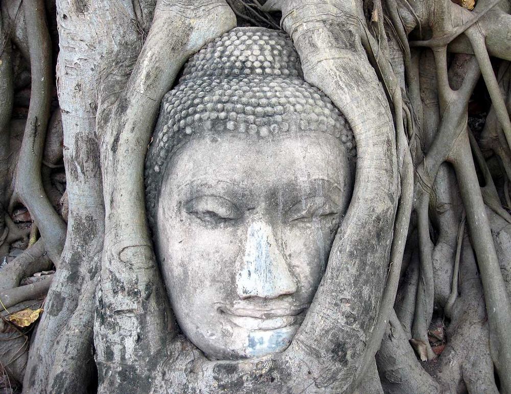 Buddhakopf im Wat Phra Mahathat