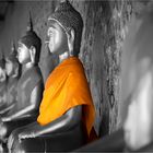 Buddhas