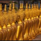 Buddhas at Wat Tamatam, Pakse, Laos