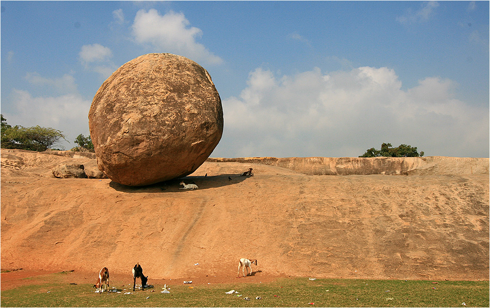 Buddhas Butterball