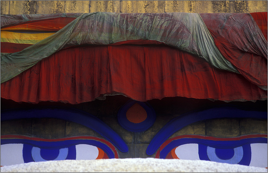 buddha's eyes