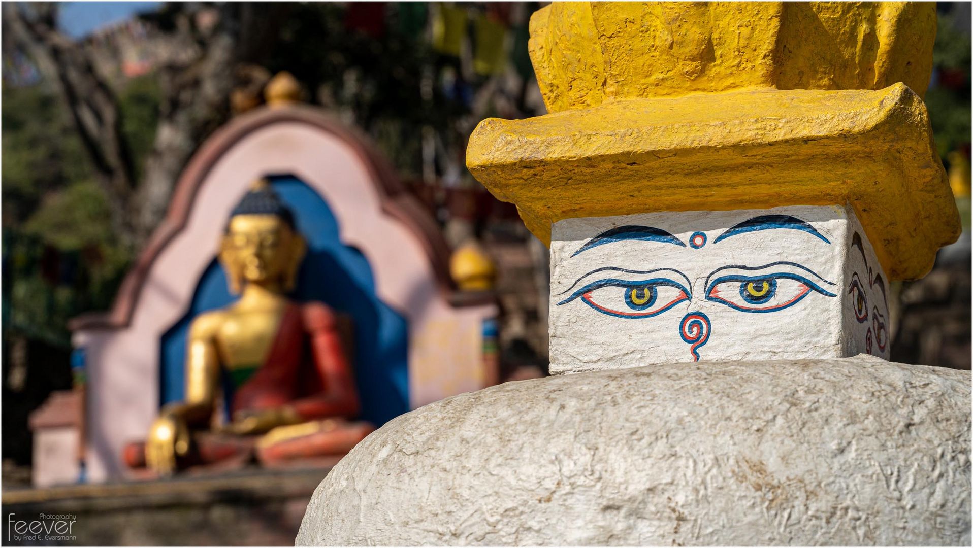 Buddha's Eyes