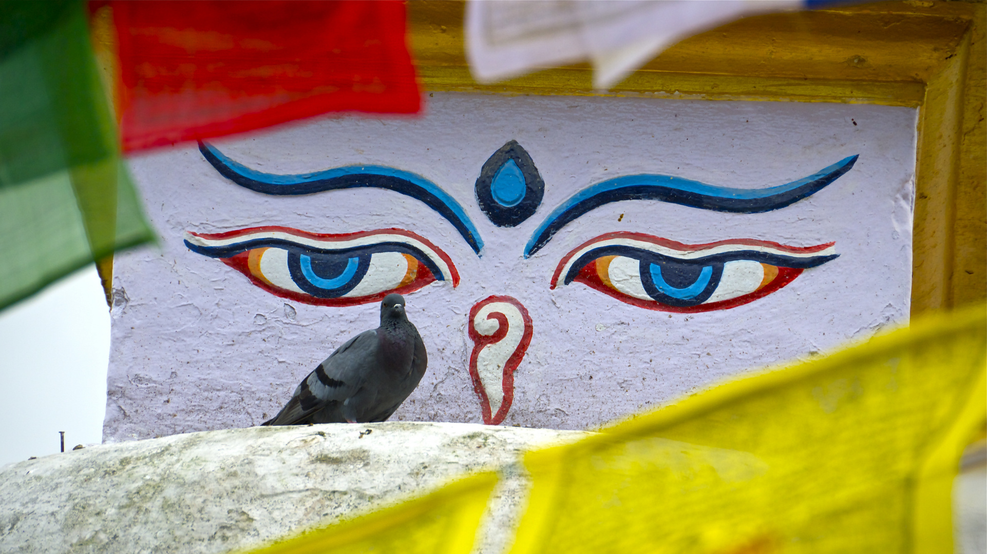 Buddha's eyes