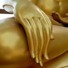 Buddha´s Hand