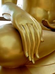 Buddha´s Hand