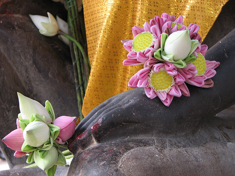 Buddhas Hand und Lotus