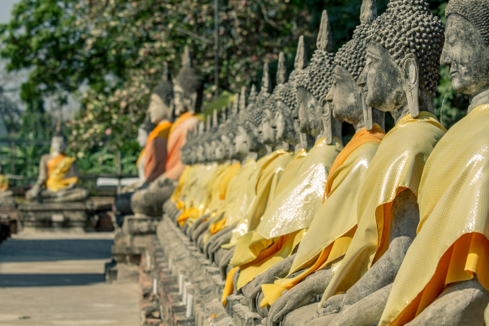 Buddhas in Ayutthaya