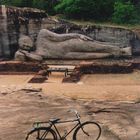 BUDDHAS TRAUM VOM FAHRRAD