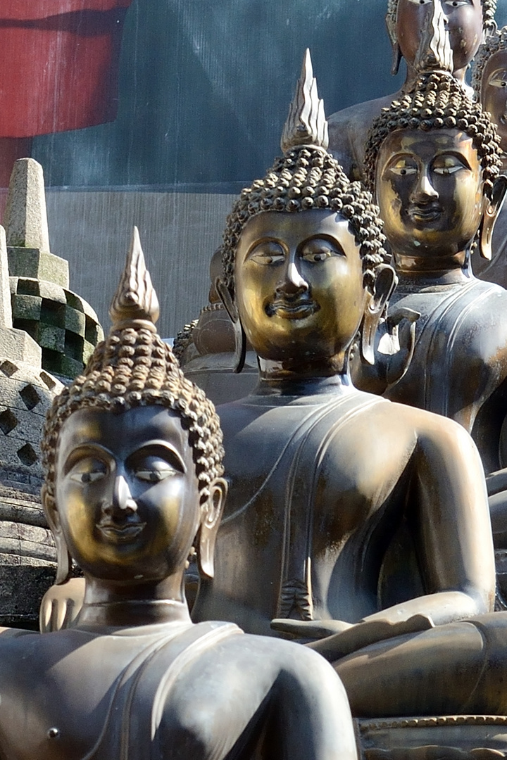 Buddhastatuen im Gangaramaya-Tempel (Colombo)